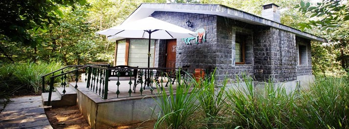 1460/Singinawa Jungle Lodge - Kanha National Park 12.jpg